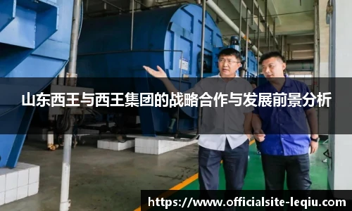 山东西王与西王集团的战略合作与发展前景分析